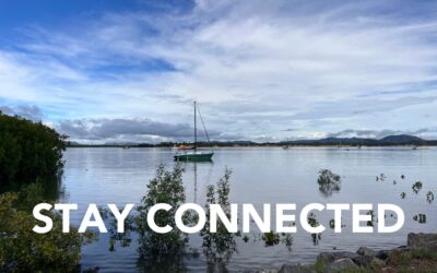 Stay Connected with Council’s Monthly Digital Newsletter