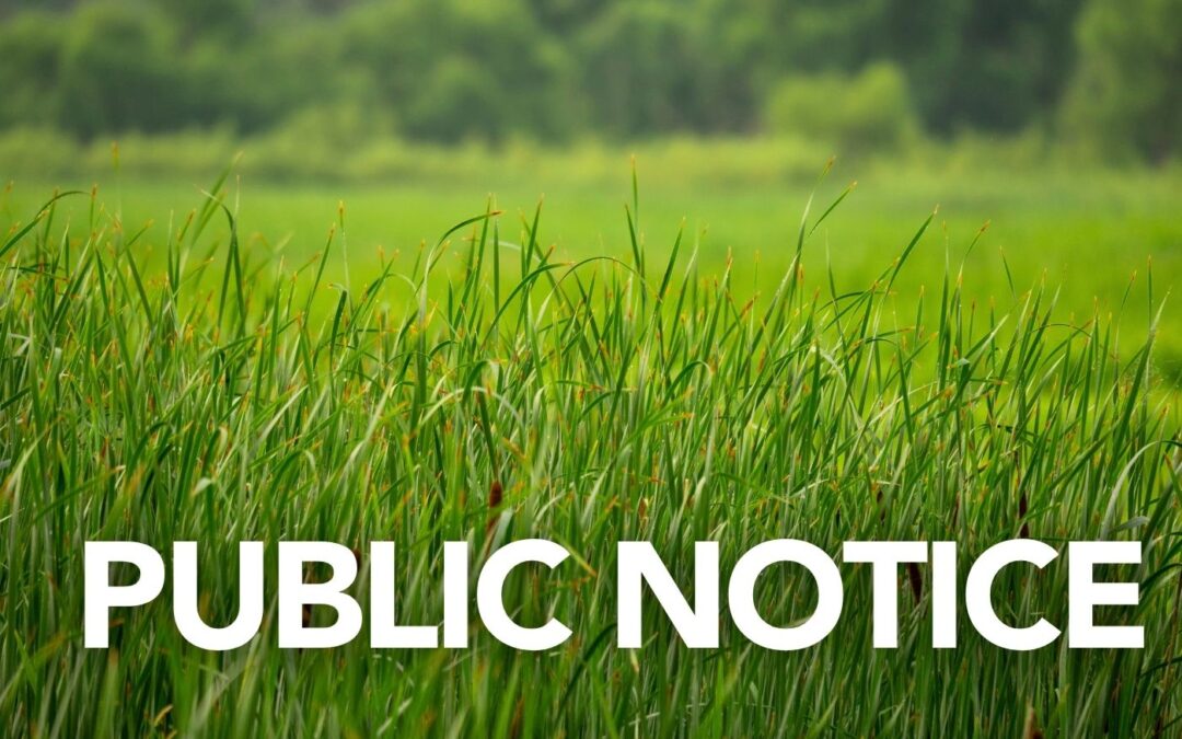 Electrical Upgrade at Bloomfield Oval – Date Updated