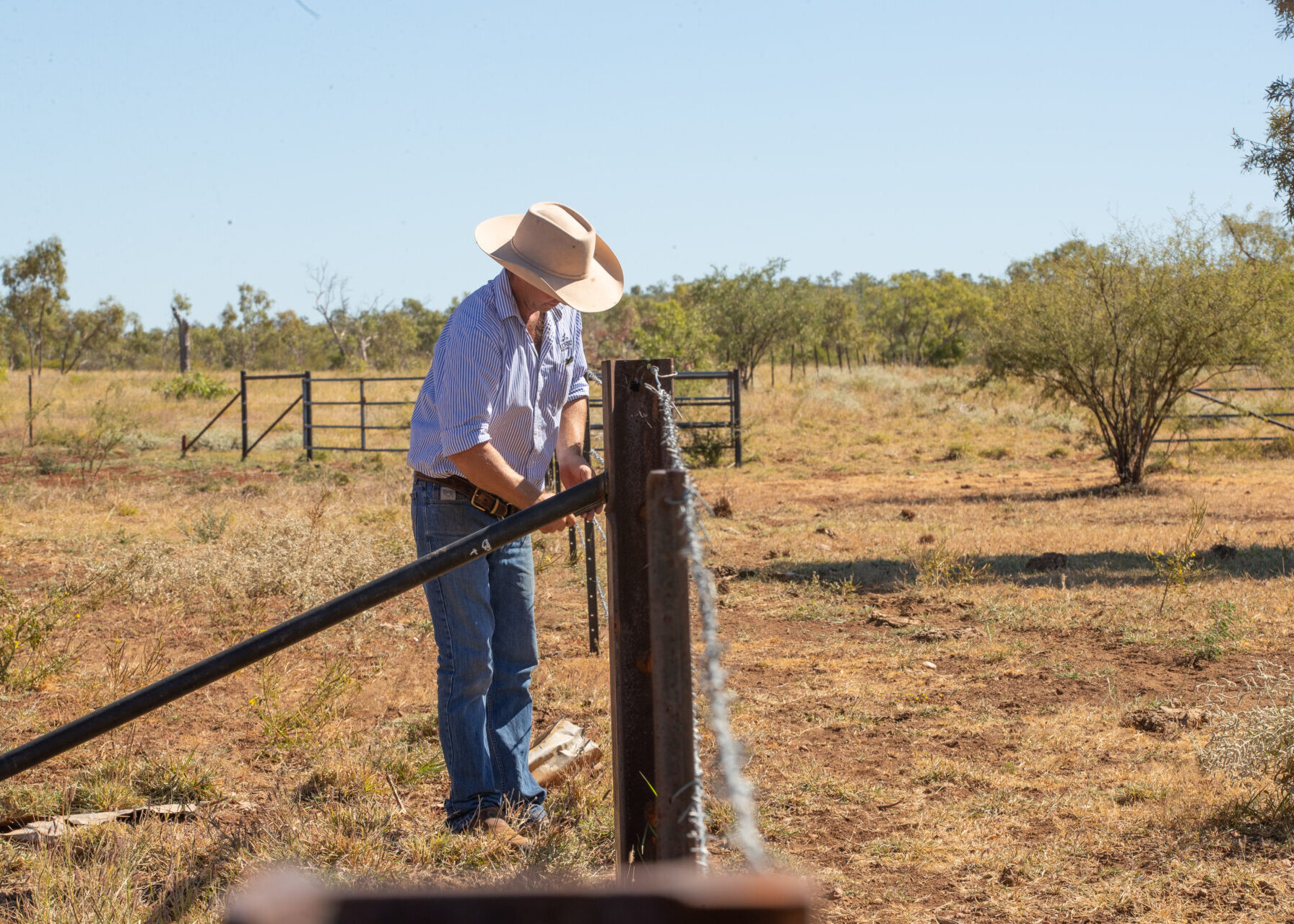 QRIDA Primary producer disaster recovery USE ONLY