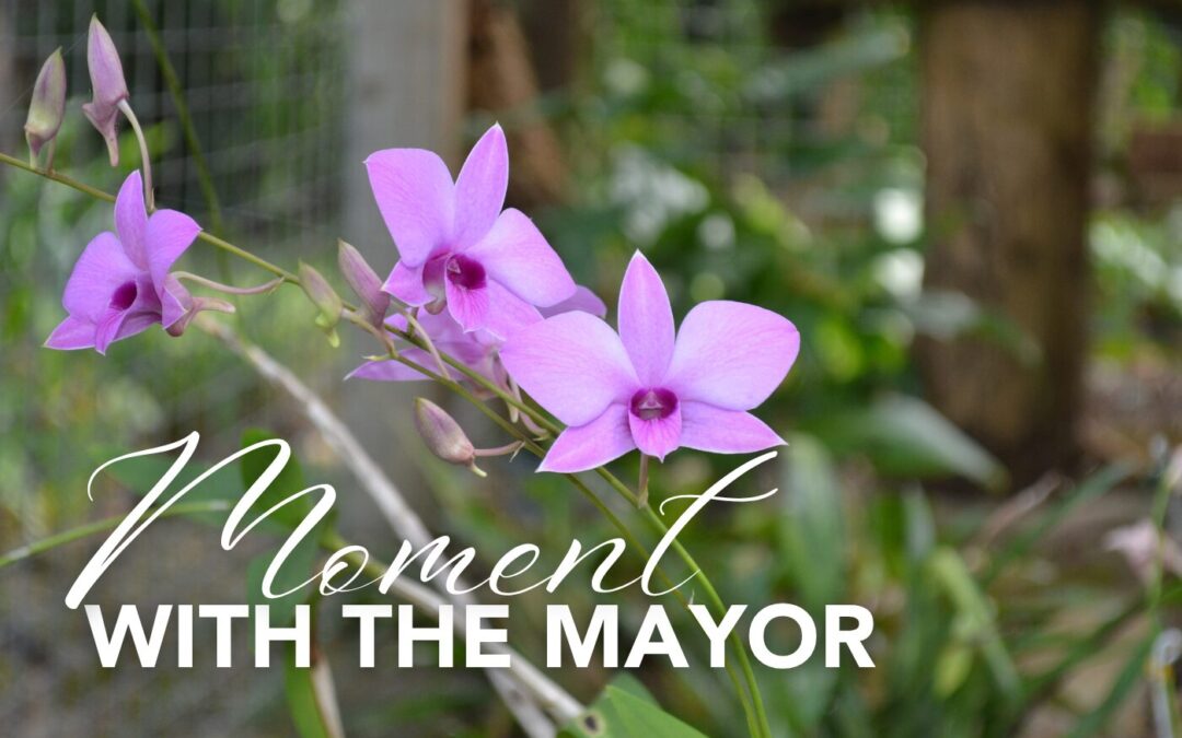 May Moment with the Mayor