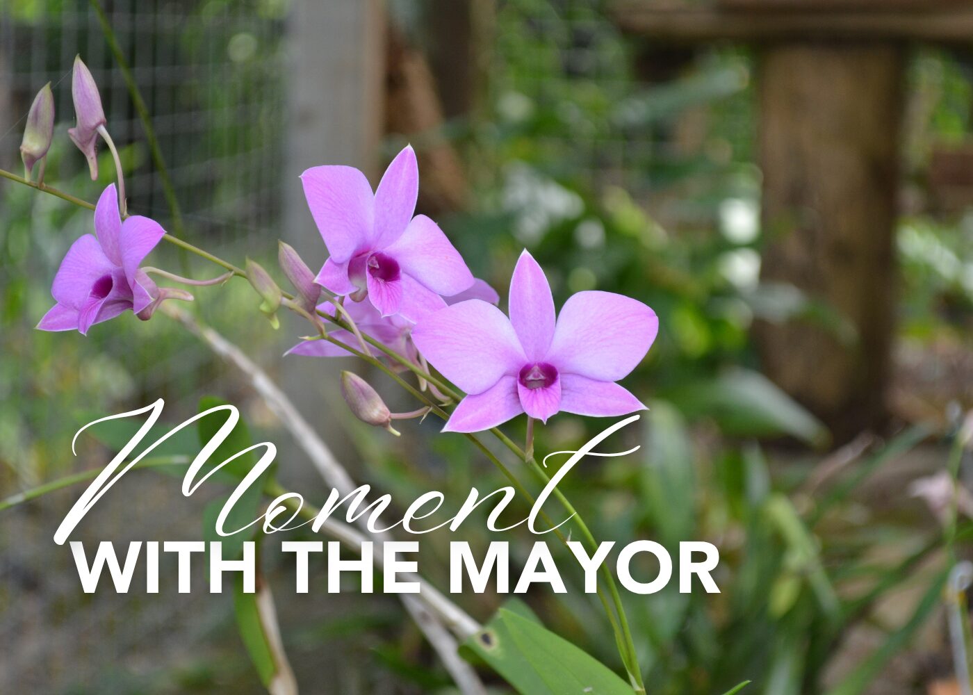 May Moment with the Mayor