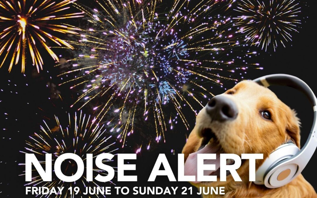 Cooktown Discovery Festival loud noise alert.
