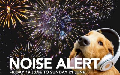 Cooktown Discovery Festival loud noise alert.