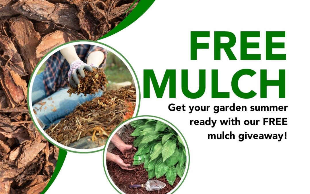 Free mulch giveaway returns for a full week