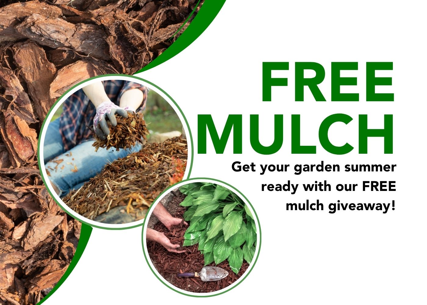 FREE MULCH news story