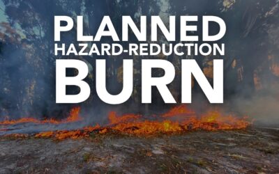 Planned burn notice for Endeavour River National park and airport bushland