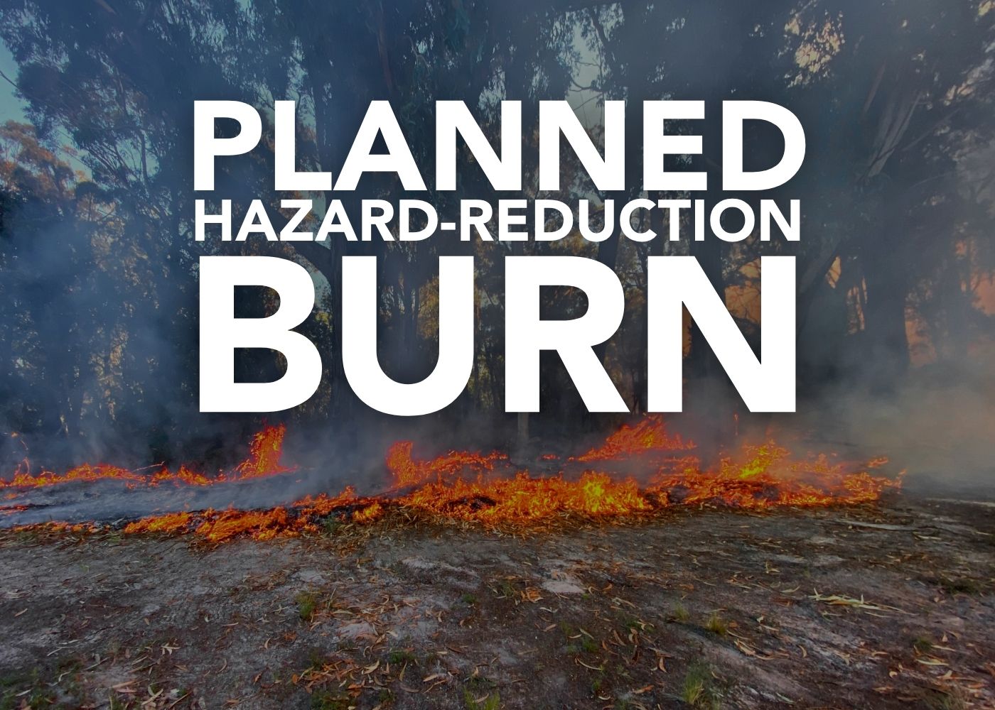 Planned burn NEWS (1)