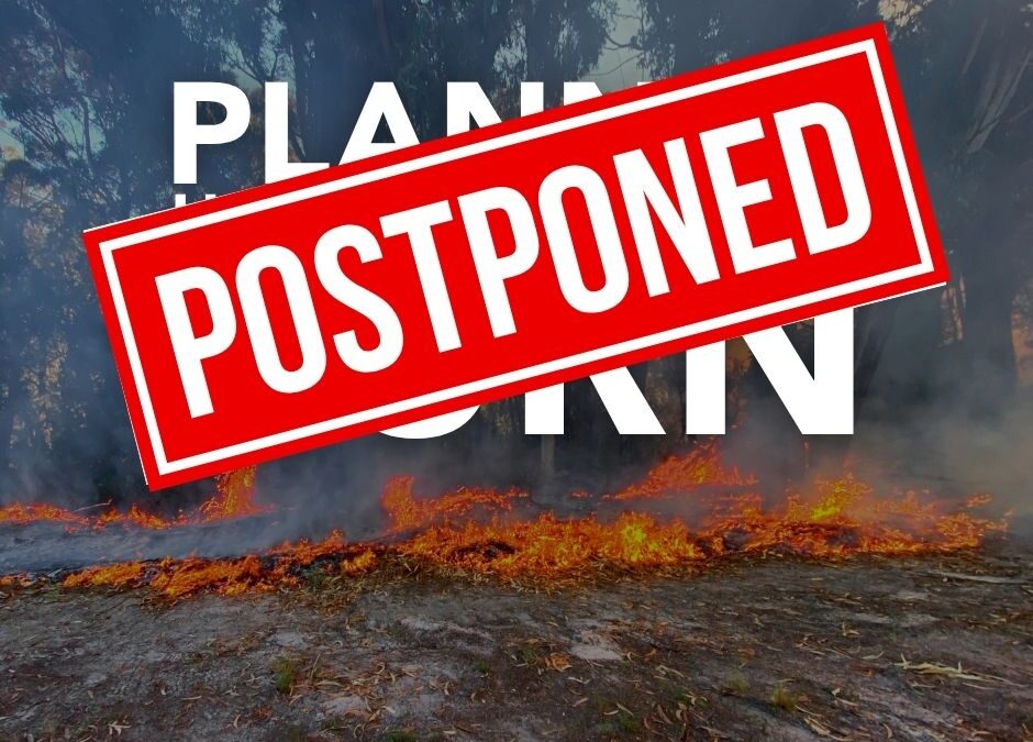 POSTPONED | Multiple planned hazard reduction burns scheduled across Cook Shire this weekend