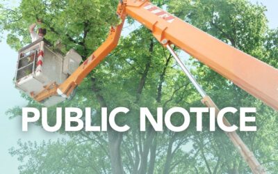 Public Notice: Tree maintenance works