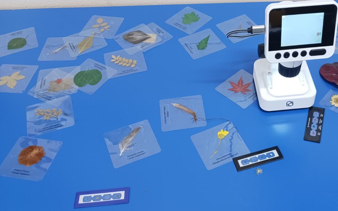 Bright minds, bubbling experiments and big discoveries at the Cooktown Library!